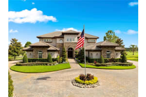 12306 Stonelake Ranch Blvd, THONOTOSASSA