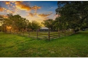 17321 Simmons Rd, LUTZ 17321 Simmons Rd, LUTZ