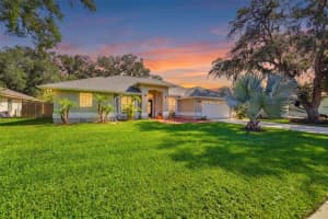 2511 Viny Ct, TAMPA 2511 Viny Ct, TAMPA