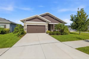 5408 Tagalong Pl, APOLLO BEACH 5408 Tagalong Pl, APOLLO BEACH