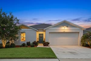 12818 Bent Twig Dr, RIVERVIEW