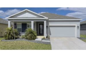 18217 Falling Pine Needle Ln, LAND O LAKES 18217 Falling Pine Needle Ln, LAND O LAKES