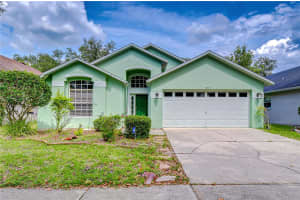18927 Twinberry Dr, TAMPA