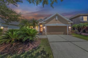 11243 Blacksmith Dr, TAMPA