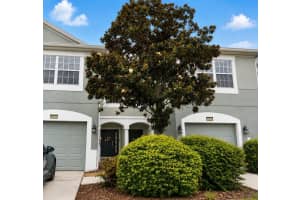 10137 Pink Palmata Ct, RIVERVIEW
