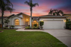 11203 Longbrooke Dr, RIVERVIEW 11203 Longbrooke Dr, RIVERVIEW
