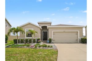 16639 Goose Ribbon Pl, WIMAUMA 16639 Goose Ribbon Pl, WIMAUMA