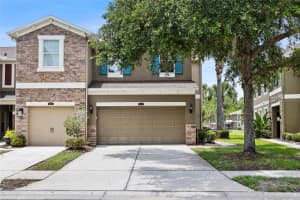 12589 Streamdale Dr, TAMPA