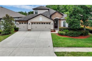 8013 Hampton Glen Dr, TAMPA
