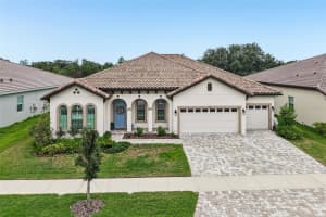 14537 Swiss Bridge Dr, LITHIA 14537 Swiss Bridge Dr, LITHIA