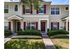 15911 Fishhawk View Dr, LITHIA 15911 Fishhawk View Dr, LITHIA
