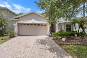 16230 Nottingham Pkwy, TAMPA