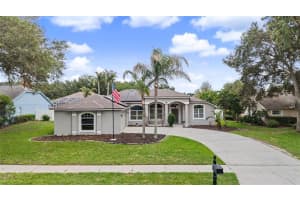 4021 Lithia Ridge Blvd, VALRICO