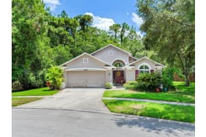 12502 Blazing Star Dr, TAMPA 12502 Blazing Star Dr, TAMPA