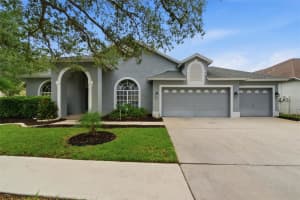 19348 Wind Dancer St, LUTZ 19348 Wind Dancer St, LUTZ