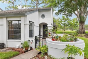 3878 Tanager Pl, PALM HARBOR 3878 Tanager Pl, PALM HARBOR