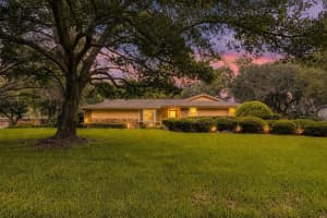7809 Pineview Dr, ODESSA 7809 Pineview Dr, ODESSA