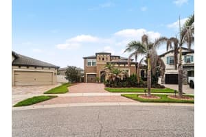 13116 Foxtail Fern Dr, RIVERVIEW 13116 Foxtail Fern Dr, RIVERVIEW