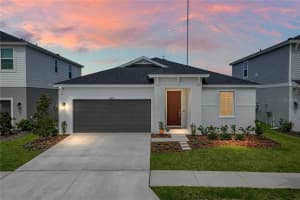 12253 Cattleside Dr, RIVERVIEW 12253 Cattleside Dr, RIVERVIEW