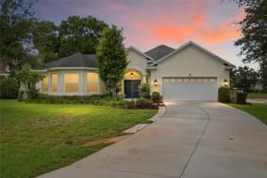 19930 Dolores Ann Ct, LUTZ