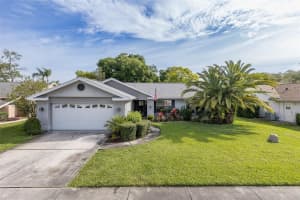 13316 Brigham Ln, HUDSON 13316 Brigham Ln, HUDSON