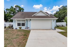 1417 Piney Branch Cir, VALRICO 1417 Piney Branch Cir, VALRICO