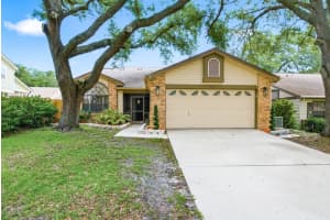 665 Deer Run N, PALM HARBOR
