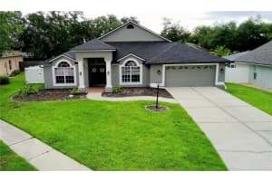 18507 Country Crest Pl, TAMPA