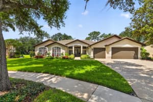 17804 Ridgeway Ct, TAMPA 17804 Ridgeway Ct, TAMPA