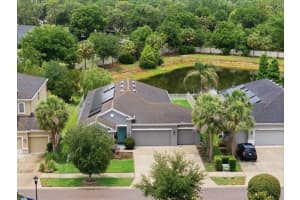 17735 Bright Wheat Dr, LITHIA 17735 Bright Wheat Dr, LITHIA