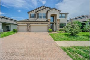 1692 Nature View Dr, LUTZ 1692 Nature View Dr, LUTZ