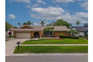 4119 Crosswater Dr, TAMPA