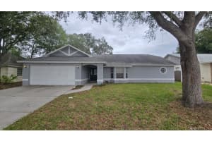 4312 Arley Pl, VALRICO 4312 Arley Pl, VALRICO