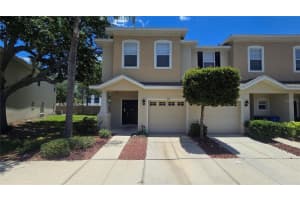 1138 Andrew Aviles Cir, TAMPA