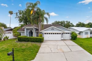 16 Citrus Dr, PALM HARBOR