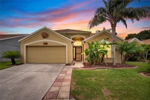 12229 Dawn Vista Dr, RIVERVIEW 12229 Dawn Vista Dr, RIVERVIEW