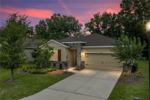 12322 Eastpointe Dr, DADE CITY 12322 Eastpointe Dr, DADE CITY