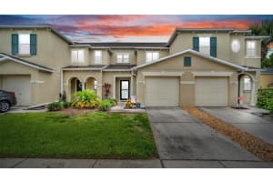 2523 White Sand Ln, CLEARWATER