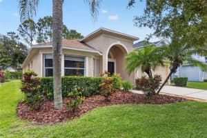 19305 Sea Mist Ln, LUTZ 19305 Sea Mist Ln, LUTZ