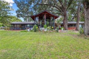 10134 White Trout Ln, TAMPA