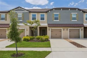 10989 Wishing Cloud Rd, LAND O LAKES