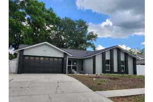 1727 Tallowtree Cir, VALRICO 1727 Tallowtree Cir, VALRICO