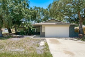 442 Evergreen Dr, OLDSMAR 442 Evergreen Dr, OLDSMAR
