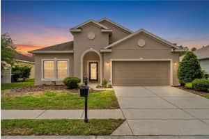 11059 Belle Haven Dr, NEW PORT RICHEY 11059 Belle Haven Dr, NEW PORT RICHEY