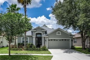 20400 Falling Rock Dr, LAND O LAKES