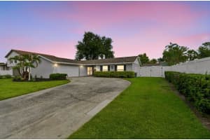 4009 Mountain Springs Ln, TAMPA 4009 Mountain Springs Ln, TAMPA