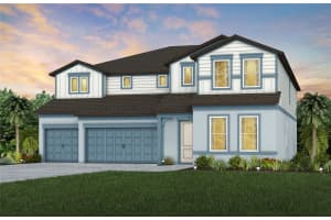 37668 Clinch Cir, ZEPHYRHILLS 37668 Clinch Cir, ZEPHYRHILLS