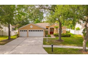 6028 Catlin Dr, TAMPA 6028 Catlin Dr, TAMPA