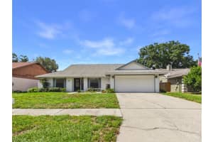 15018 Redcliff Dr, TAMPA 15018 Redcliff Dr, TAMPA