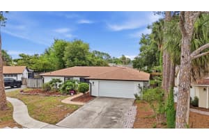 8307 Vallejo Pl, TAMPA 8307 Vallejo Pl, TAMPA